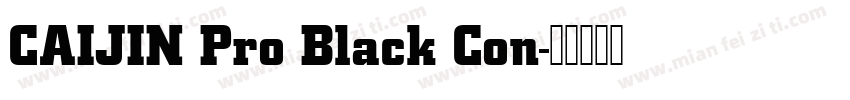 CAIJIN Pro Black Con字体转换